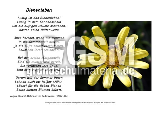 Bienenleben-Fallersleben.pdf